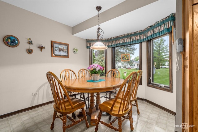 6841 Carpenter St, Downers Grove, IL 60516 - dining space featuring light floors and healthy amount of natural light