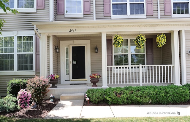 2467 W Autumn Dr, Round Lake, IL 60073 - property entrance featuring a porch