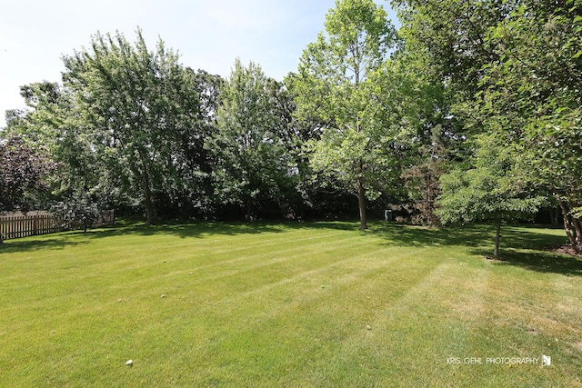 2467 W Autumn Dr, Round Lake, IL 60073 - view of yard