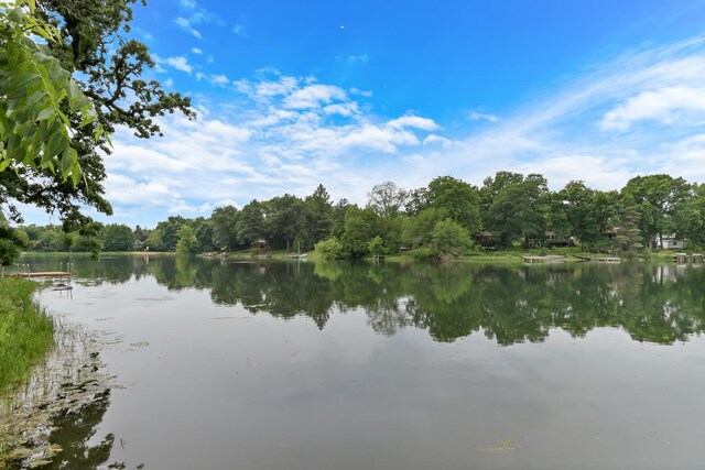 33448 N Mill Rd, Grayslake, IL 60030 - photo 40