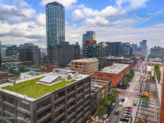 740 W Fulton St Unit 1202, Chicago, IL 60661 - skyline view