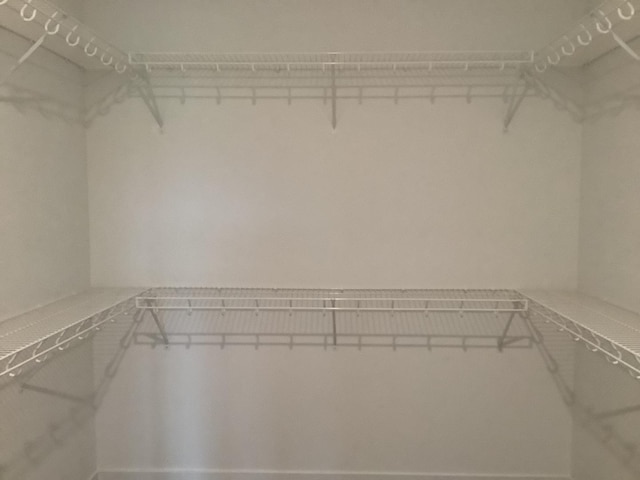 12415 Foxborough Dr, Mokena, IL 60448 - view of spacious closet