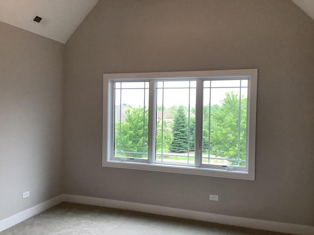 12415 Foxborough Dr, Mokena, IL 60448 - unfurnished room with lofted ceiling, plenty of natural light, and carpet floors