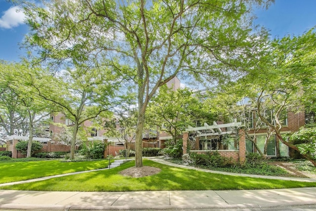 3030 Arbor Ln Unit 203, Northfield, IL 60093 - photo 3