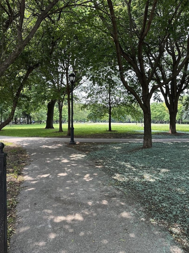 811 S Lytle St Unit 108, Chicago, IL 60607 - view of home's community with a yard