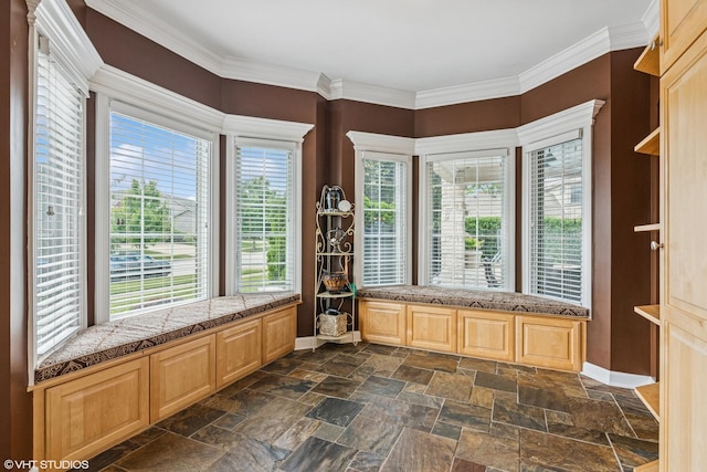 24650 Lincolnway St, Plainfield, IL 60544 - unfurnished room with ornamental molding and dark stone finish floors