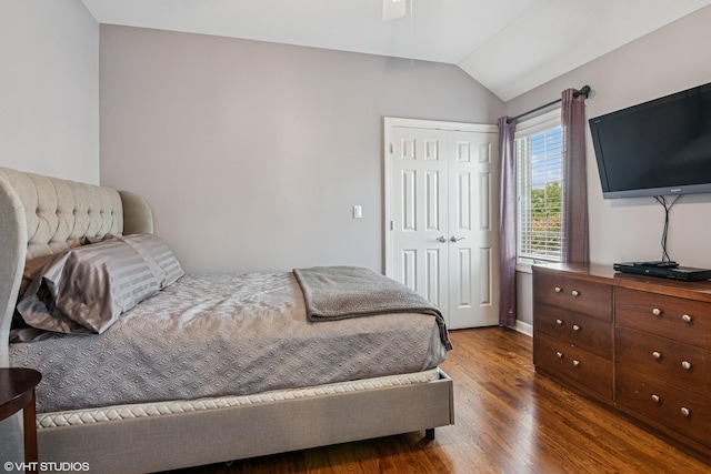 24650 Lincolnway St, Plainfield, IL 60544 - bedroom featuring wood finished floors, lofted ceiling, and a closet