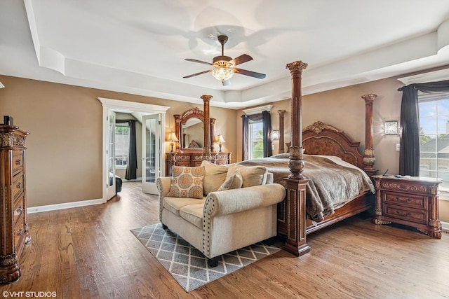 24650 Lincolnway St, Plainfield, IL 60544 - bedroom with a raised ceiling, multiple windows, and wood finished floors