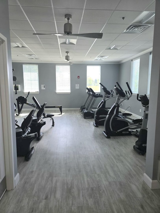 2003 Magenta Ln, Algonquin, IL 60102 - gym with wood finished floors, plenty of natural light, and a drop ceiling