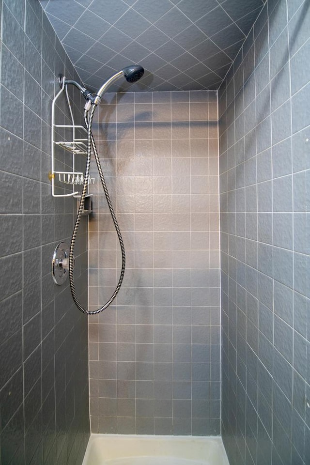 895 Shagbark Rd Unit 44C, New Lenox, IL 60451 - full bathroom featuring tiled shower