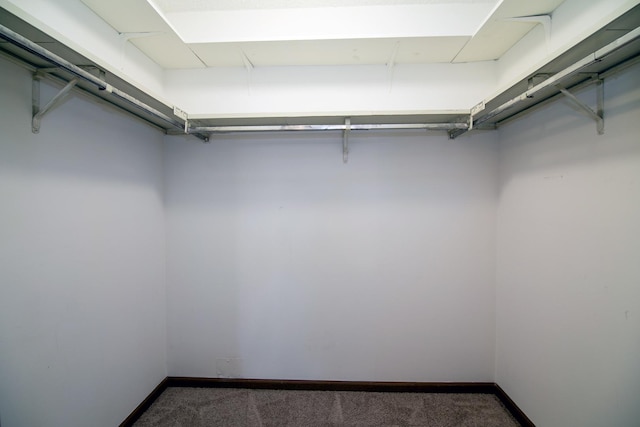 895 Shagbark Rd Unit 44C, New Lenox, IL 60451 - walk in closet with carpet flooring