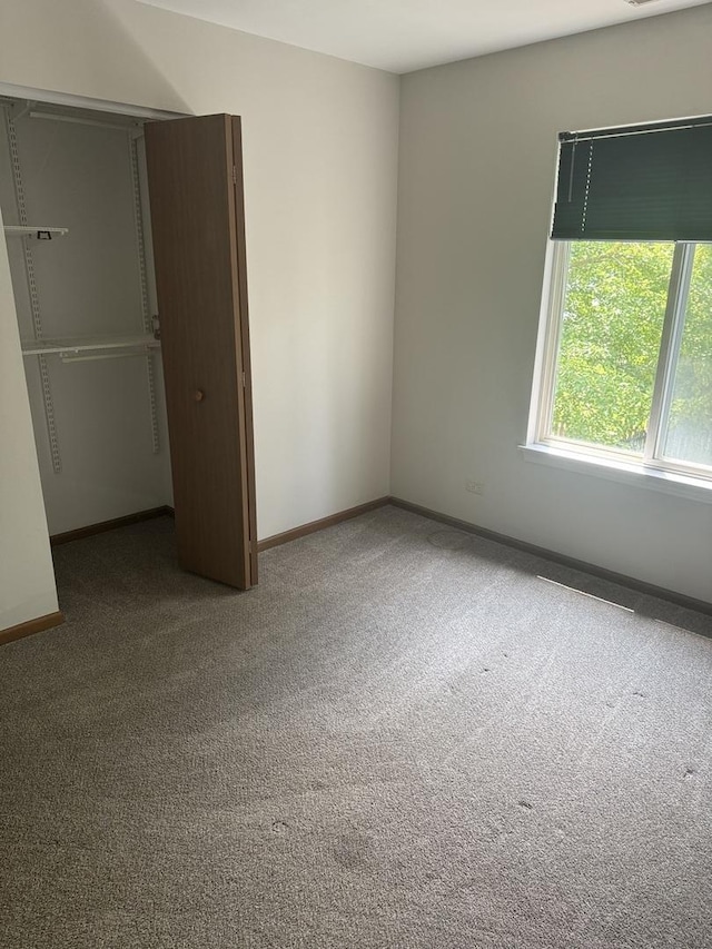 2830 Alameda Ct, Naperville, IL 60564 - unfurnished bedroom featuring carpet and a closet