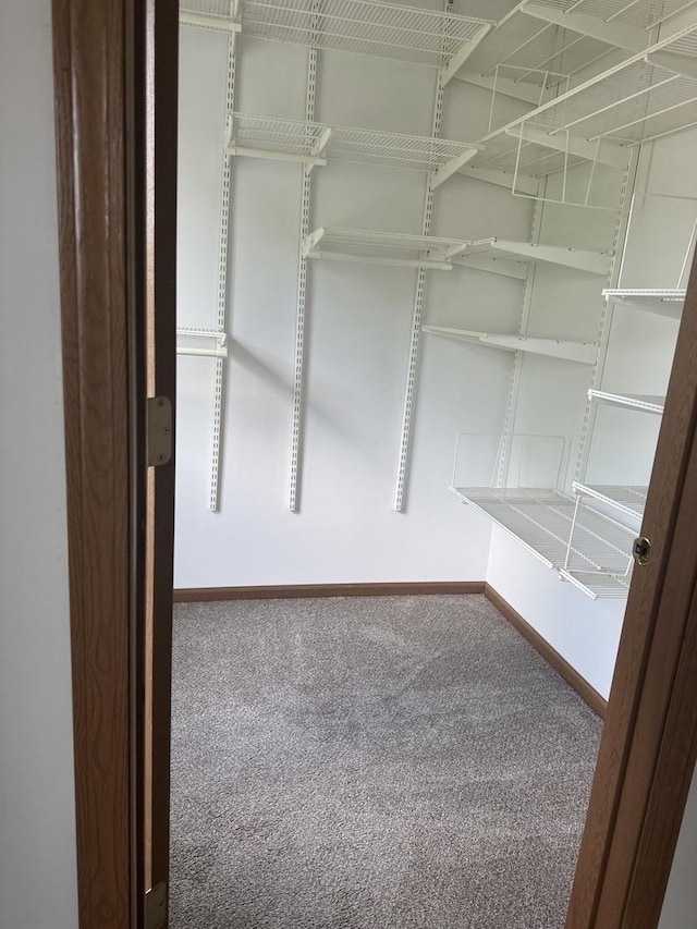 2830 Alameda Ct, Naperville, IL 60564 - spacious closet with carpet