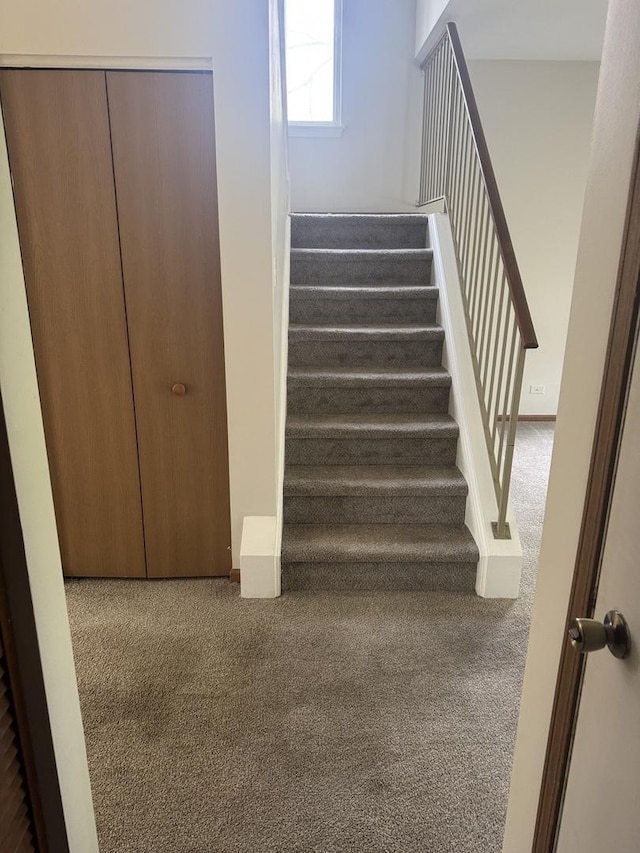 2830 Alameda Ct, Naperville, IL 60564 - staircase with carpet