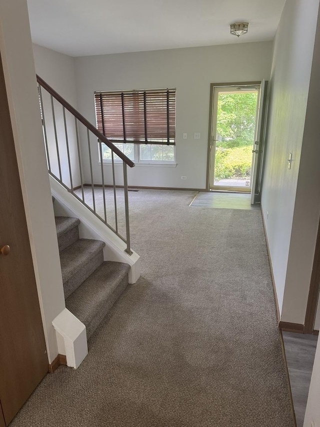 2830 Alameda Ct, Naperville, IL 60564 - stairway featuring carpet flooring