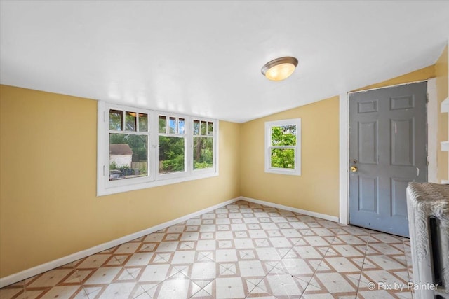566 Raymond St, Elgin, IL 60120 - entrance foyer with light floors and vaulted ceiling