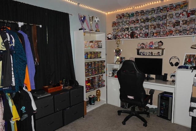 505 Woodmoor Dr, Round Lake Beach, IL 60073 - view of carpeted office