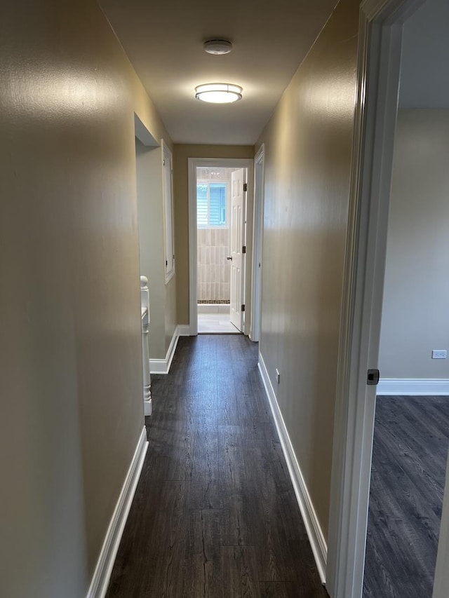 805 Monroe Ave, Carpentersville, IL 60110 - corridor with dark wood-style floors and baseboards