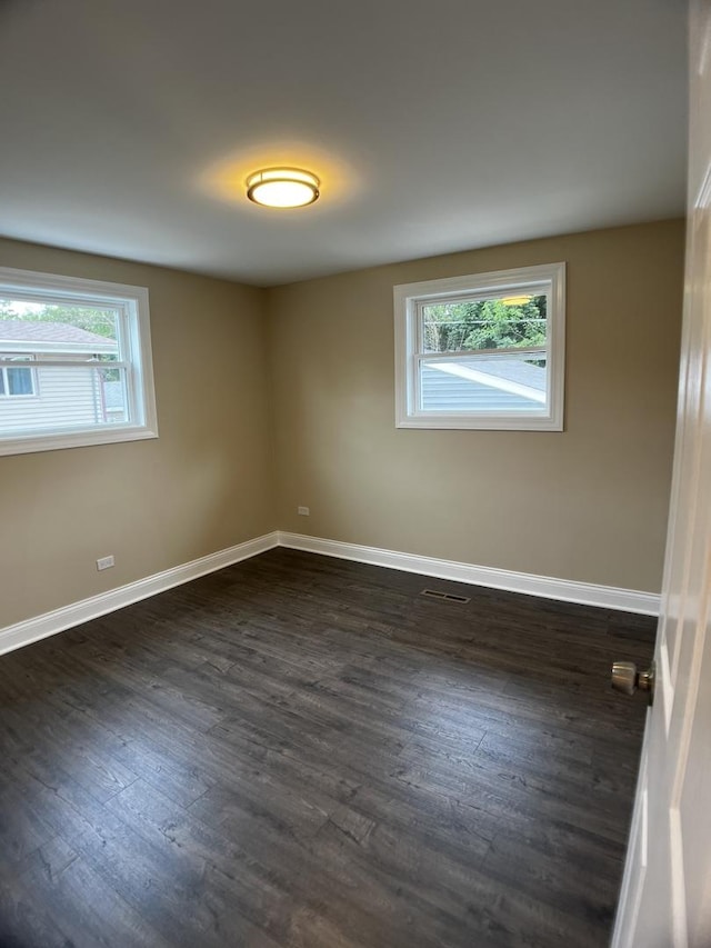 805 Monroe Ave, Carpentersville, IL 60110 - unfurnished room featuring healthy amount of natural light and dark wood-style flooring