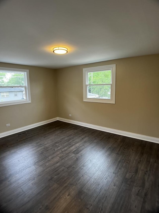 805 Monroe Ave, Carpentersville, IL 60110 - empty room featuring plenty of natural light and dark wood-type flooring
