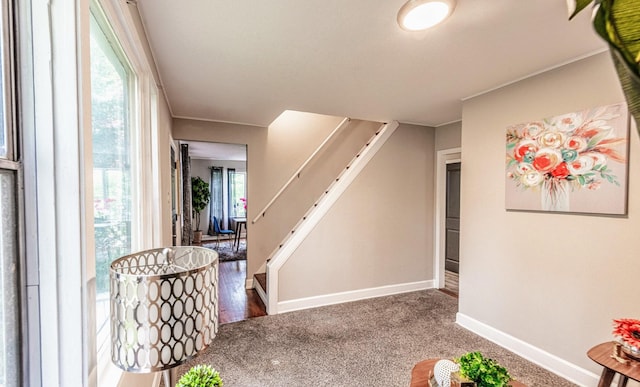 1502 N 34th Ave, Melrose Park, IL 60160 - carpeted foyer with baseboards and stairway