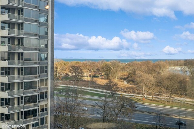 4250 N Marine Dr Unit 1013, Chicago, IL 60613 - photo 4