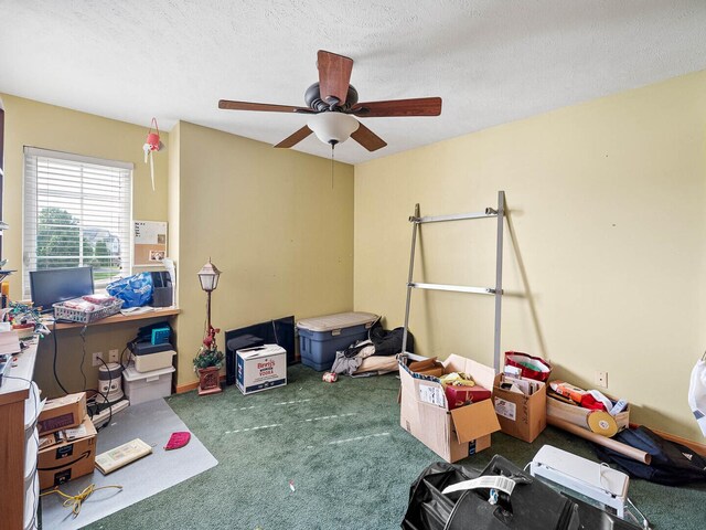 1605 Iles Ave, Belvidere, IL 61008 - photo 17