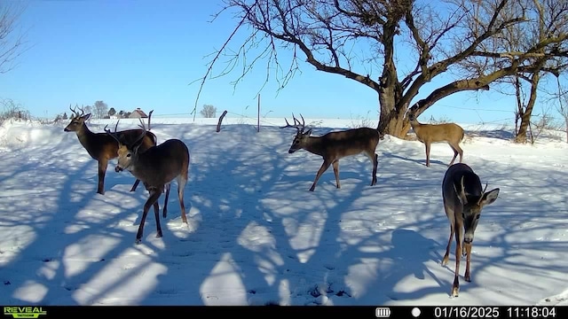 10400 Liberty Rd, Farmer City, IL 61842 - photo 37
