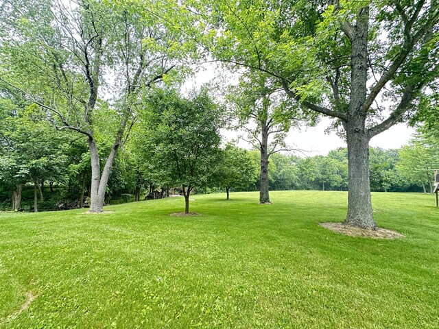 10400 Liberty Rd, Farmer City, IL 61842 - photo 38
