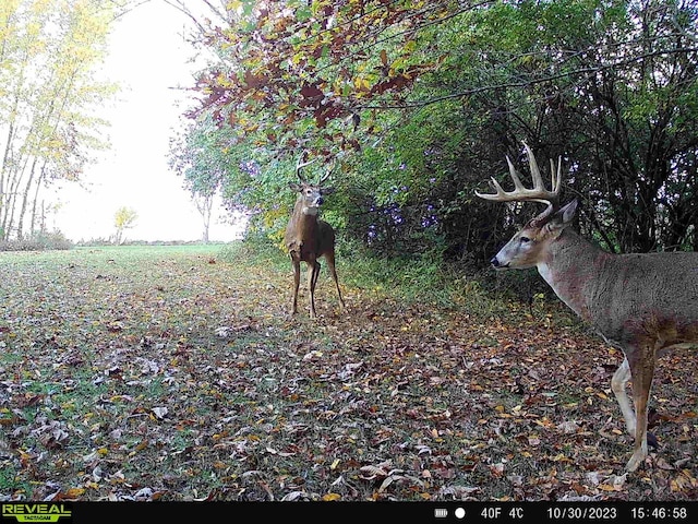10400 Liberty Rd, Farmer City, IL 61842 - photo 8