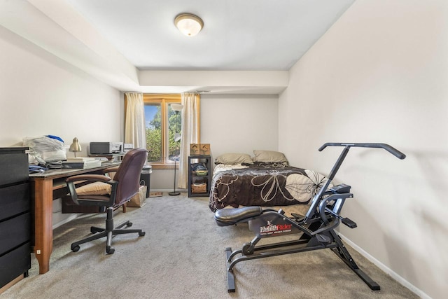 720 Saint Andrews Ln Unit 6, Crystal Lake, IL 60014 - bedroom with carpet and an office area