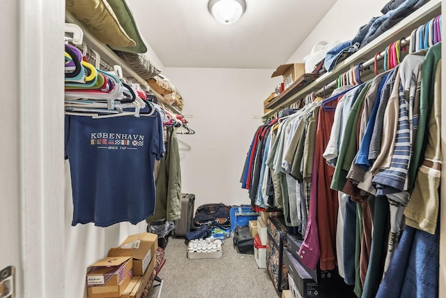 720 Saint Andrews Ln Unit 6, Crystal Lake, IL 60014 - spacious closet with carpet floors