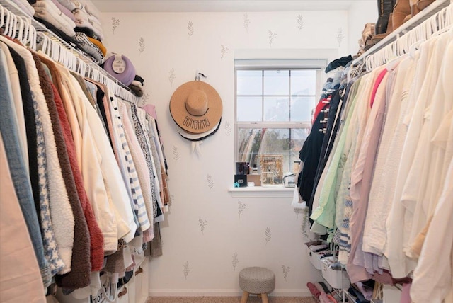 18374 Century Ct, Tinley Park, IL 60477 - walk in closet featuring carpet flooring