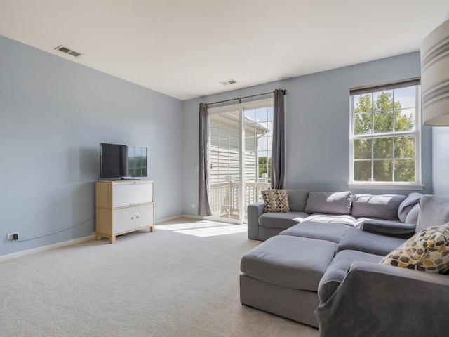 4231 Savoy Ln Unit 4231, Mchenry, IL 60050 - carpeted living area with baseboards