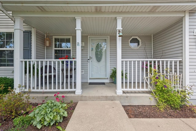 1519 Parkside Dr, Plainfield, IL 60586 - view of exterior entry featuring a porch
