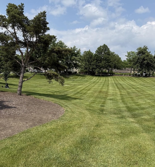 7413 Stockley Rd, Downers Grove, IL 60516 - photo 3