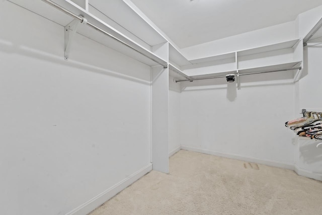 937 Braeburn Rd, Inverness, IL 60067 - spacious closet featuring carpet floors
