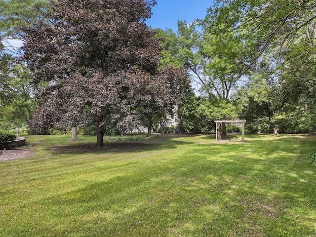 937 Braeburn Rd, Inverness, IL 60067 - view of green lawn