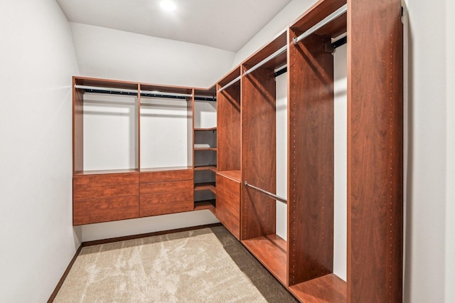18229 Riegel Rd, Homewood, IL 60430 - walk in closet featuring carpet flooring