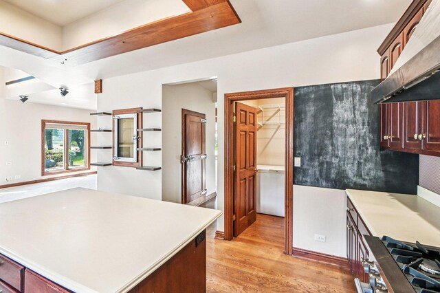 18229 Riegel Rd, Homewood, IL 60430 - kitchen featuring ventilation hood, light wood-style floors, and light countertops