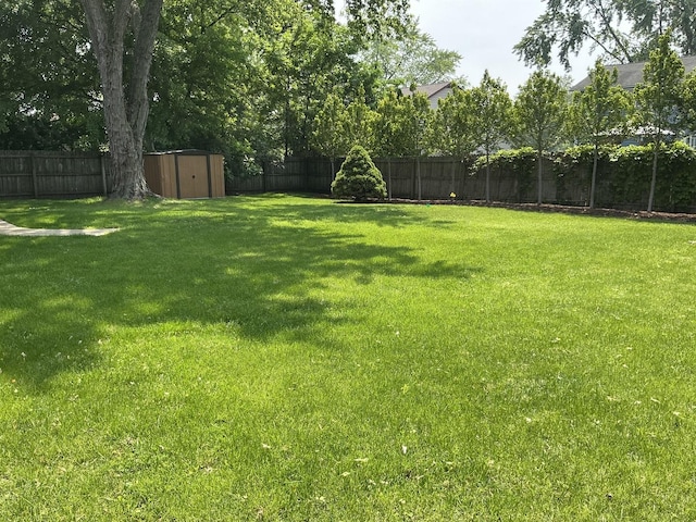 4532 Waubansie Ln, Lisle, IL 60532 - fenced backyard with a storage unit