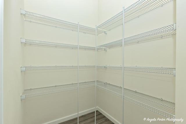 21725 N Ashley St, Kildeer, IL 60047 - view of pantry
