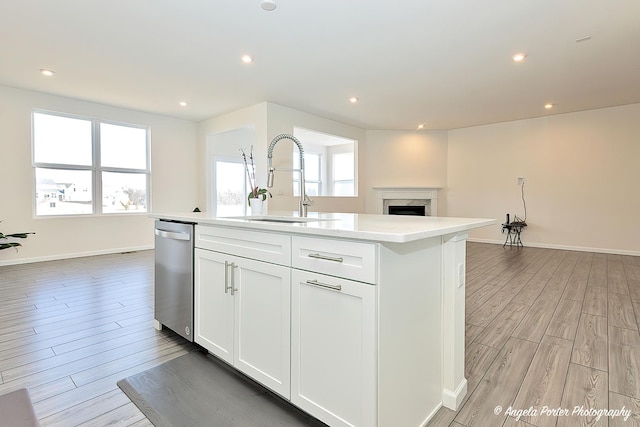 21725 N Ashley St, Kildeer, IL 60047 - kitchen with dishwasher, light wood-style flooring, light countertops, a high end fireplace, and recessed lighting