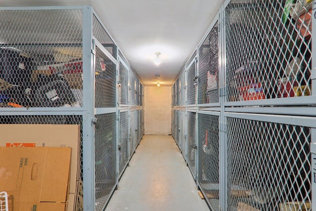 4711 Saint Joseph Creek Rd Unit 1E, Lisle, IL 60532 - view of storage room