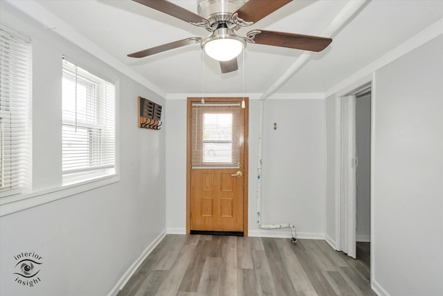5716 W 64th Pl, Chicago, IL 60638 - doorway featuring light wood-style floors and a ceiling fan