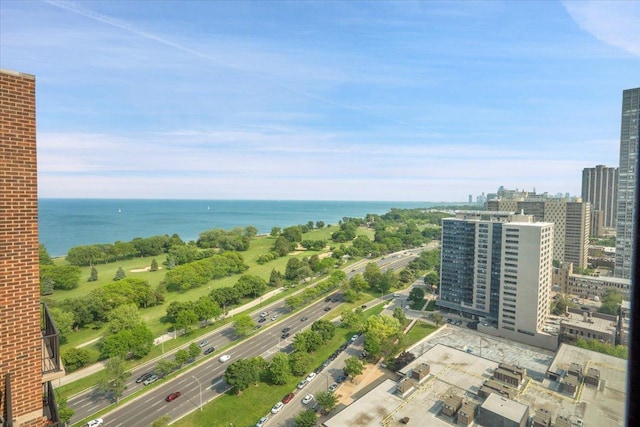 4170 N Marine Dr Unit 11L, Chicago, IL 60613 - photo 4