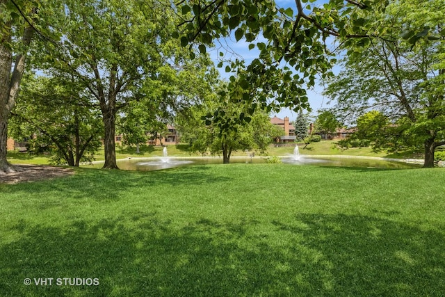 7930 W Lakeview Ct Unit 2A, Palos Heights, IL 60463 - view of grassy yard