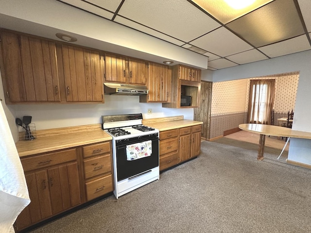 506 E Lincoln St, Saybrook, IL 61770 - kitchen with white gas range oven, under cabinet range hood, a paneled ceiling, light countertops, and dark colored carpet