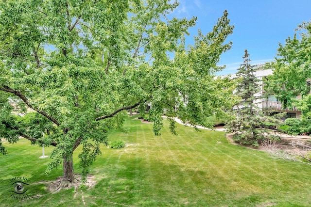 7550 Briartree Ln Unit 415, Burbank, IL 60459 - photo 7