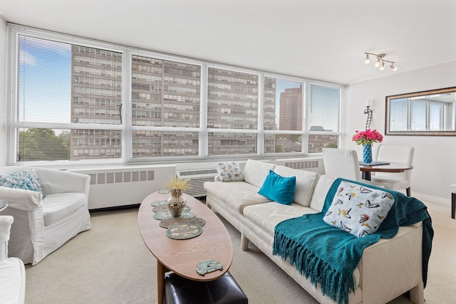 4800 S Chicago Beach Dr Unit 513N, Chicago, IL 60615 - carpeted living room featuring radiator, plenty of natural light, and rail lighting